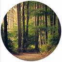 Artwork for Wasted (Signals From The Past Remix)