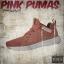 Artwork for Pink Pumas