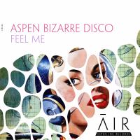 Artwork for Feel Me by aspen bizarre disco