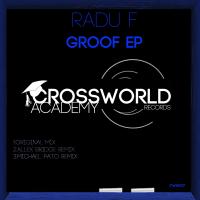 Artwork for Groof EP by Radu F