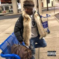 Artwork for The Bag by Troy Ave