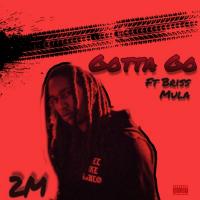 Artwork for Gotta Go (feat. Briss Mula) by 2m.