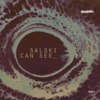 Artwork for Can See by Salski