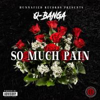 Artwork for So Much Pain by Q Banga