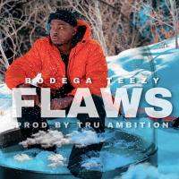 Artwork for Flaws by Bodega Teezy