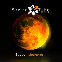 Artwork for Moonshine by Evave