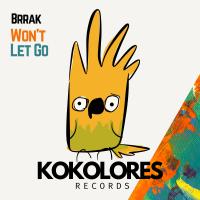 Artwork for Won't Let Go by Brrak