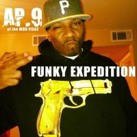 Artwork for Funky Expedition by AP.9