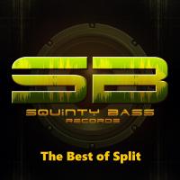 Artwork for The Best of Split by Split