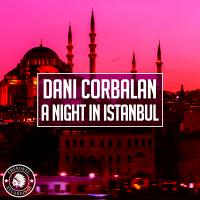 Artwork for A Night In Istanbul by Dani Corbalan