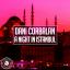 Artwork for A Night In Istanbul (Radio Edit)
