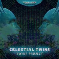 Artwork for Twins Project by Celestial Twins