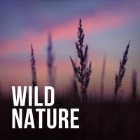 Artwork for Wild Nature by Rain Sounds