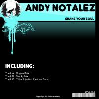 Artwork for Shake Your Soul by Andy Notalez