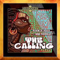 Artwork for The Calling by Realm of House