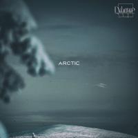 Artwork for arctic by Important