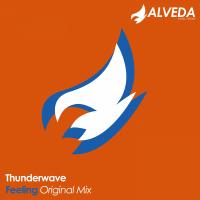 Artwork for Feeling by Thunderwave