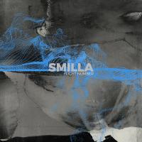 Artwork for Flight Number by Smilla