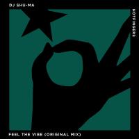 Artwork for Feel the Vibe by DJ Shu-ma