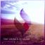 Artwork for Euphoria (Original Mix)