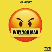 Artwork for Why You Mad by Yung Dirt