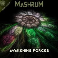 Artwork for Awakening Forces by Машрум