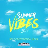 Artwork for Summer Vibes 2019: Best of Deep Tropical House by Various Artists