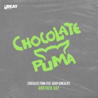 Artwork for Another Day by Chocolate Puma