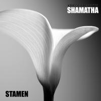 Artwork for Stamen by Kriece