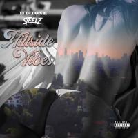 Artwork for Hillside Vibes by Hi-Tone