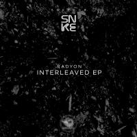 Artwork for Interleaved Ep by Radyon