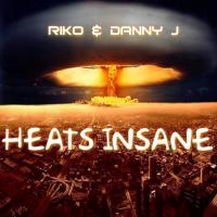 Artwork for Heats Insane by Riko