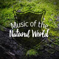 Artwork for Music of the Natural World by Nature Sounds Nature Music