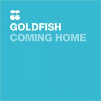 Artwork for Coming Home by GoldFish