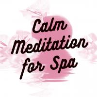 Artwork for Calm Meditation for Spa by Deep Sleep