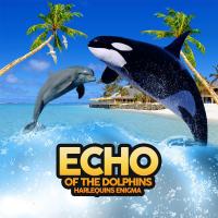 Artwork for Echo Of The Dolphins by Harlequins Enigma