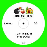 Artwork for Blue Ducks by Tony H