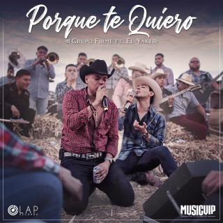 Artwork for Porque Te Quiero