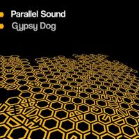 Artwork for Gypsy Dog by Parallel Sound
