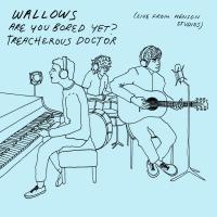 Artwork for Live from Henson Studios by Wallows