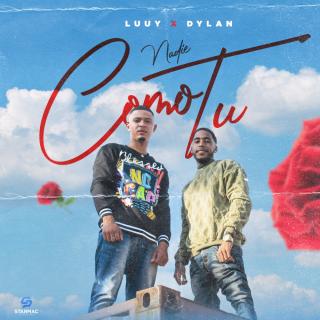 Artwork for Nadie Como Tu