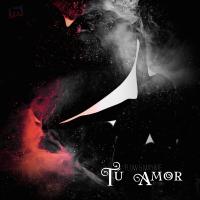 Artwork for Tu Amor (feat. DJ B & Yoey) by Flow