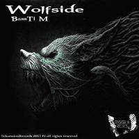 Artwork for Wolfside by BassTi M