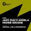 Artwork for Higher Ground (Dub Mix)