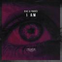 Artwork for I Am Awareness
