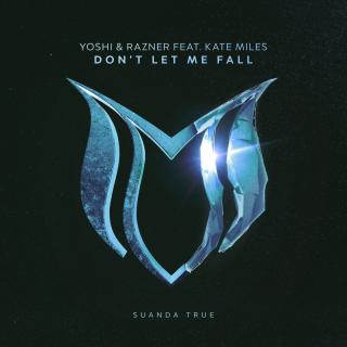 Artwork for Don't Let Me Fall (Original Mix)