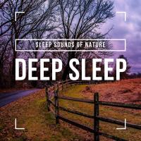 Artwork for Deep Sleep by Sleep Sounds of Nature