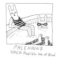 Artwork for YMCA Pool by Palehound