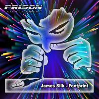 Artwork for Footprint by James Silk