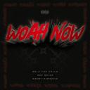 Artwork for Woah Now (feat. San Quinn & Amuri Dimaggio)
